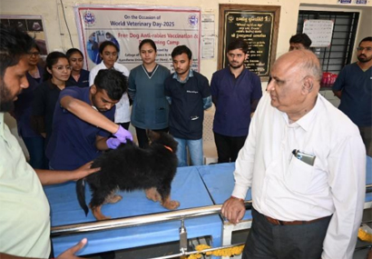 Postgraduate Programmes