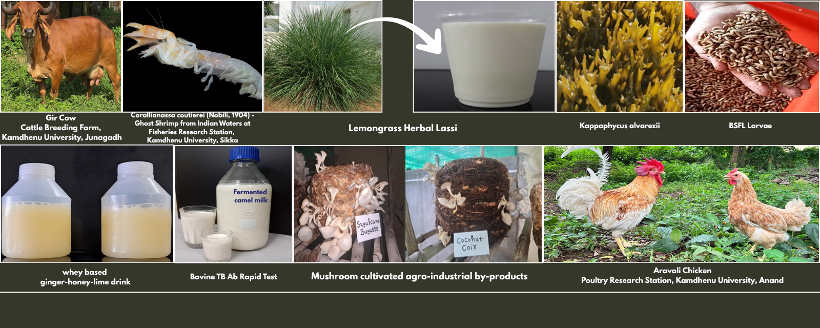 સંશોધન સિદ્ધિઓ અને ભલામણો