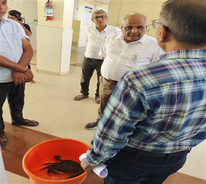 Visit of Hon. Vice Chancellor, Kamdhenu University, Gandhinagar to Fisheries Research Station, Okha and Seaweed Farming site at Beyt Dwarka.