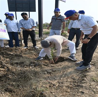 કામધેનુ યુનિવર્સિટી ધ્વારા રોહિકા, તા.બાવળા ખાતે વૃક્ષારોપણ કાર્યક્રમ યોજાયો.
