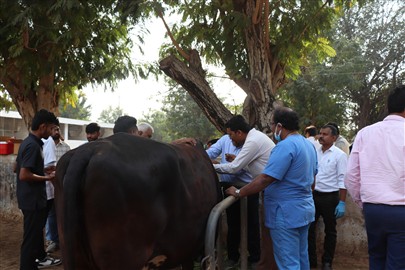 Two-Day Training on ‘Blood Transfusion Protocols in Animals’ Successfully Conducted at College of Veterinary Science & AH, Kamdhenu University, Anand