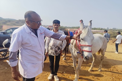 Veterinary College, KU, Junagadh provided technical expertise at the 17th KAMA Horse Show, Wankaner